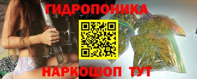 гашик Балахна