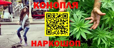 гашик Балахна