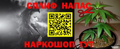 гашик Балахна