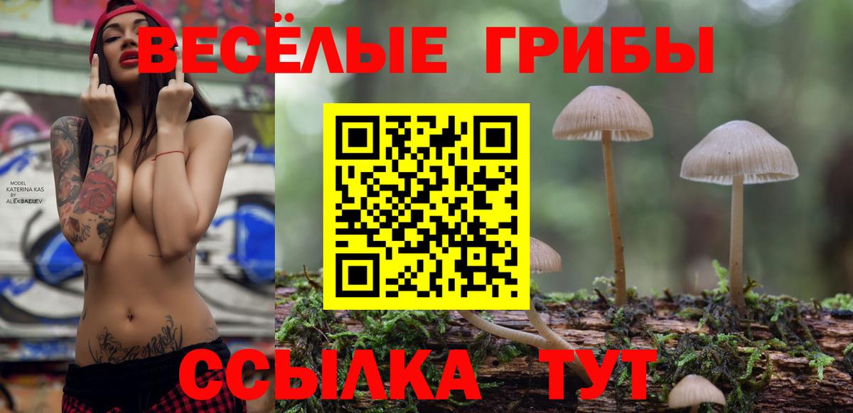 Гатчина  Галлюциногенные грибы GOLDEN TEACHER  Псилоцибиновые грибы ЛСД  Вход с VPN 
